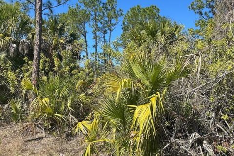 Land in North Port, Florida № 2164711 - photo 2