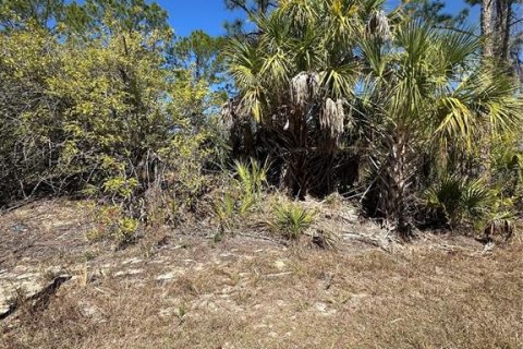 Land in North Port, Florida № 2164711