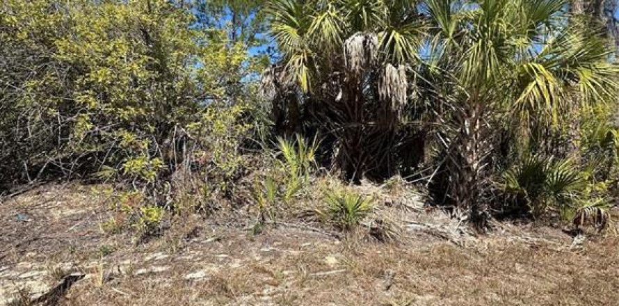 Land in North Port, Florida № 2164711