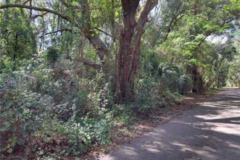 Land in Gainesville, Florida № 2104303 - photo 6