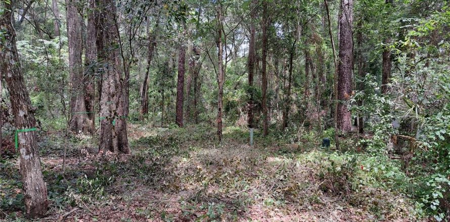 Land in Gainesville, Florida № 2104303