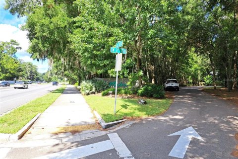 Land in Gainesville, Florida № 2104303 - photo 3