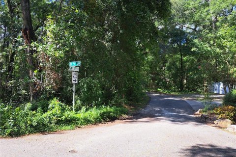 Land in Gainesville, Florida № 2104303 - photo 4