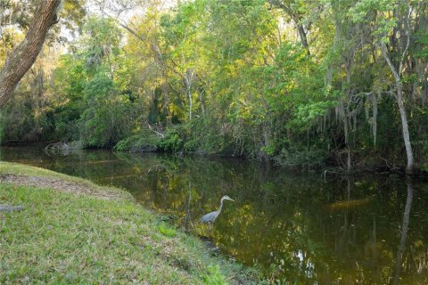 Casa en venta en Oldsmar, Florida, 4 dormitorios, 315.87 m2 № 2391122 - foto 10