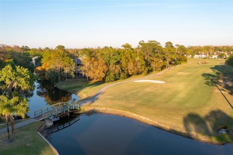 Casa en venta en Oldsmar, Florida, 4 dormitorios, 315.87 m2 № 2391122 - foto 9