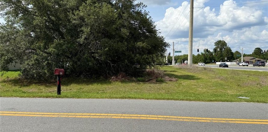 Land in Ocala, Florida № 1682919