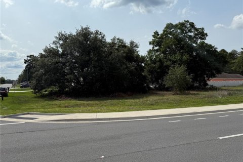 Land in Ocala, Florida № 1682919 - photo 2