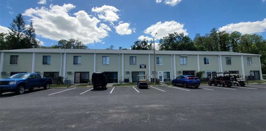 Condo à Lutz, Floride, 2 chambres  № 2102888