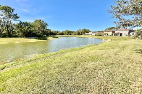 House in Tampa, Florida 5 bedrooms, 333.24 sq.m. № 1915923 - photo 14