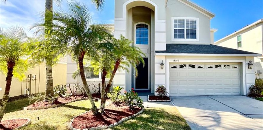 House in Tampa, Florida 5 bedrooms, 333.24 sq.m. № 1915923