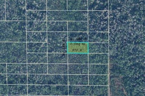 Land in Orlando, Florida № 2219150 - photo 2