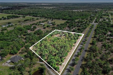 Terrain à Myakka City, Floride № 2101771