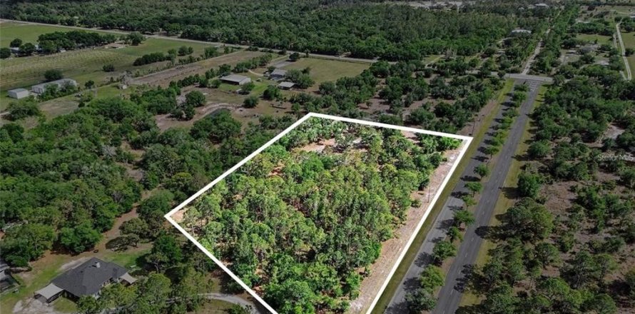 Terrain à Myakka City, Floride № 2101771