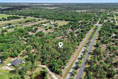 Terrain à vendre à Myakka City, Floride № 2101771 - photo 4