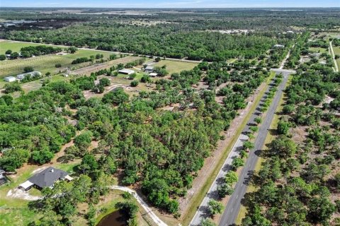 Terrain à vendre à Myakka City, Floride № 2101771 - photo 6
