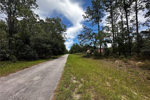 Terrain à vendre à Ocala, Floride № 1819558 - photo 3
