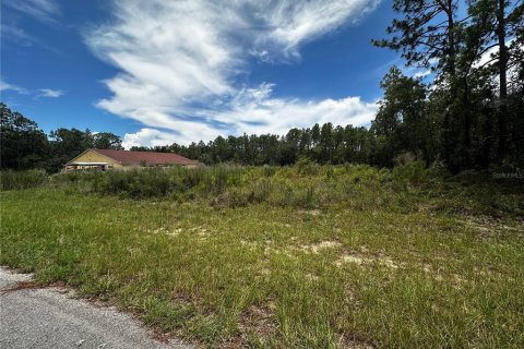 Terrain à vendre à Ocala, Floride № 1819558 - photo 4
