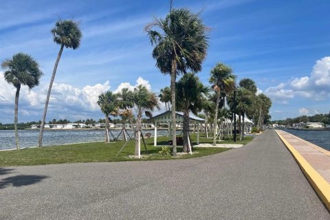 Apartamento en alquiler en Tampa, Florida, 1 dormitorio, 58.53 m2 № 1919026 - foto 10