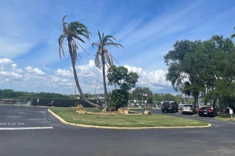 Apartamento en alquiler en Tampa, Florida, 1 dormitorio, 58.53 m2 № 1919026 - foto 6