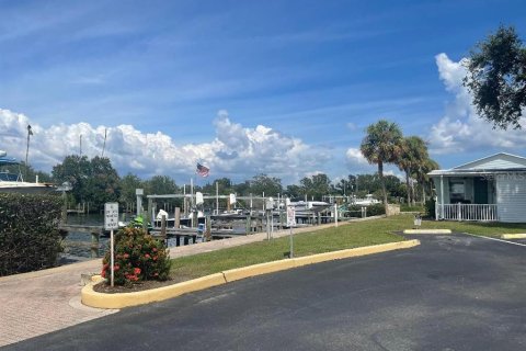 Apartamento en alquiler en Tampa, Florida, 1 dormitorio, 58.53 m2 № 1919026 - foto 7