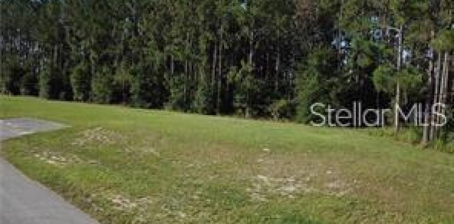 Land in Umatilla, Florida № 2214673
