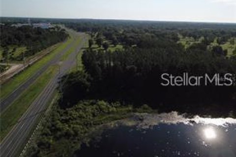 Land in Umatilla, Florida № 2214673 - photo 7