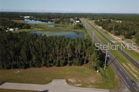 Land in Umatilla, Florida № 2214673 - photo 5