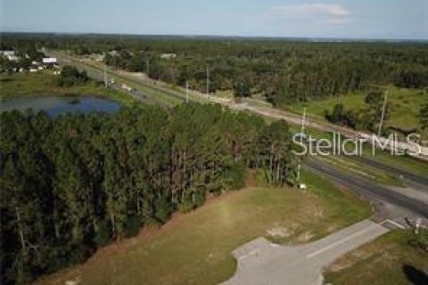 Land in Umatilla, Florida № 2214673 - photo 4