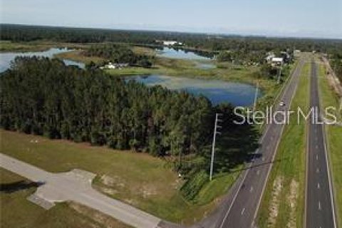 Land in Umatilla, Florida № 2214673 - photo 3