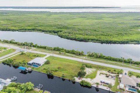 Land in Port Charlotte, Florida № 1912481 - photo 15