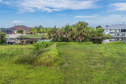Land in Port Charlotte, Florida № 1912481 - photo 8