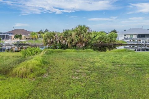 Land in Port Charlotte, Florida № 1912481 - photo 7