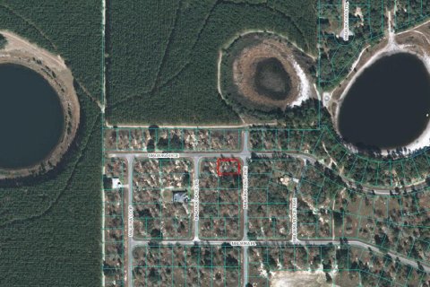 Terreno en Ocklawaha, Florida № 2229021