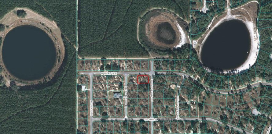 Terreno en Ocklawaha, Florida № 2229021