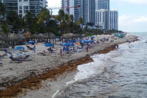 Copropriété à louer à Sunny Isles Beach, Floride: 1 chambre, 71.26 m2 № 1963215 - photo 2