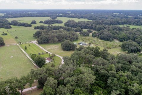 Villa ou maison à vendre à Bushnell, Floride: 4 chambres, 258.08 m2 № 2415055 - photo 6
