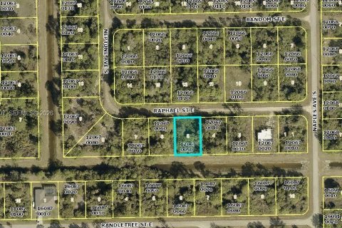 Land in Lehigh Acres, Florida № 2158214 - photo 1