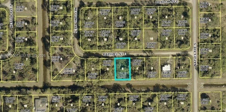 Land in Lehigh Acres, Florida № 2158214