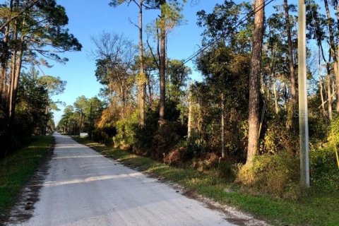Land in DeLand, Florida № 2162297 - photo 6