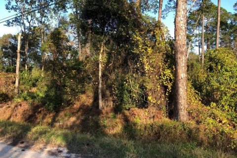Land in DeLand, Florida № 2162297 - photo 4