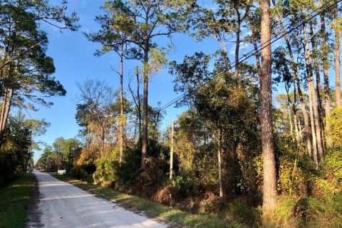 Land in DeLand, Florida № 2162297