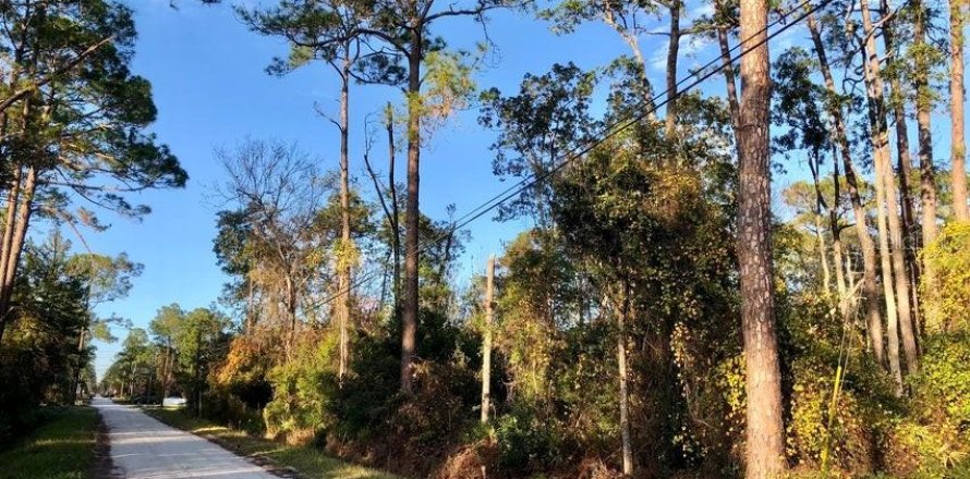 Land in DeLand, Florida № 2162297