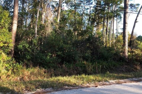 Land in DeLand, Florida № 2162297 - photo 3