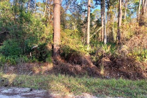 Land in DeLand, Florida № 2162297 - photo 5