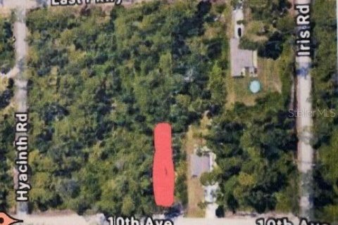Land in DeLand, Florida № 2162297 - photo 2