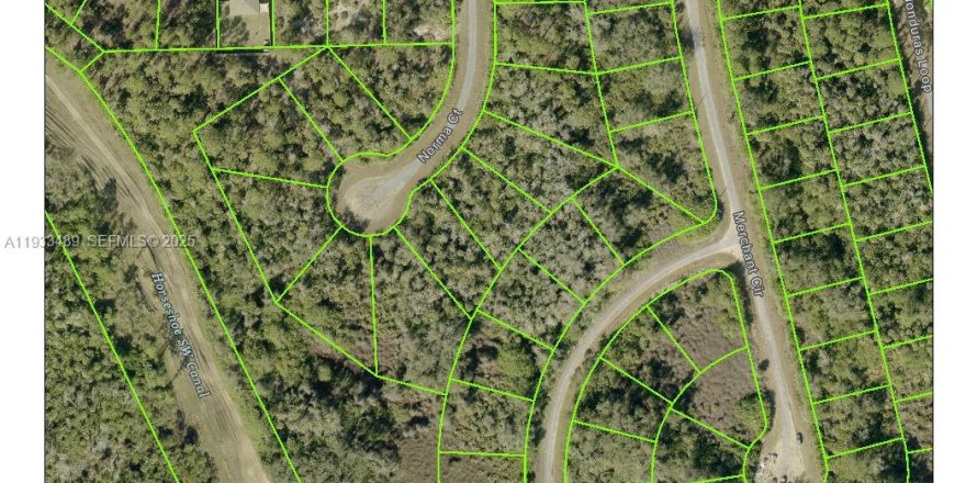 Land in Lehigh Acres, Florida № 2158117