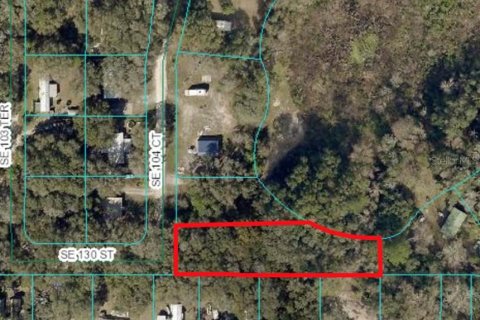 Land in Belleview, Florida № 2161280