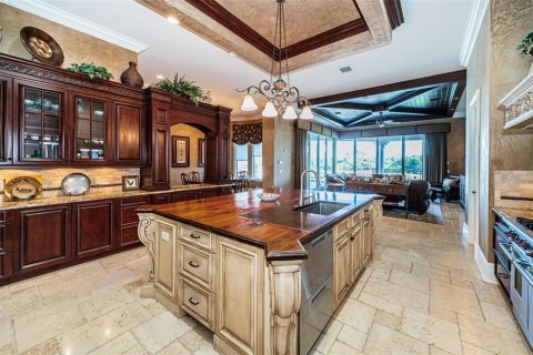 Villa ou maison à vendre à Seminole, Floride: 5 chambres, 706.99 m2 № 2199782 - photo 15