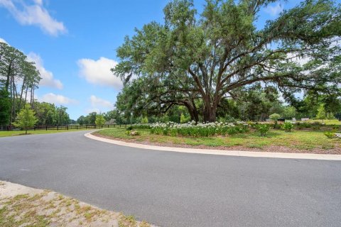 Land in Newberry, Florida № 1750041 - photo 29