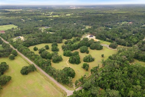 Land in Newberry, Florida № 1750041 - photo 9